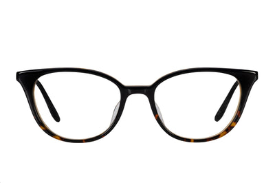 #color_Black Tortoise Gradient