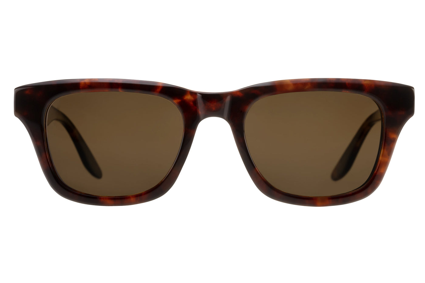 #color_Chestnut / Sequoia Polarized (AR)